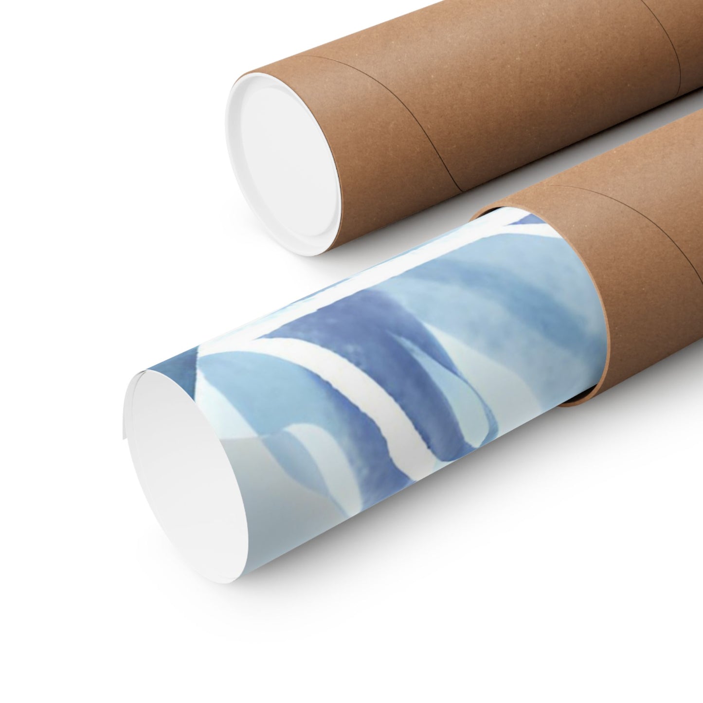 Arctic Ice Science Lab Poster