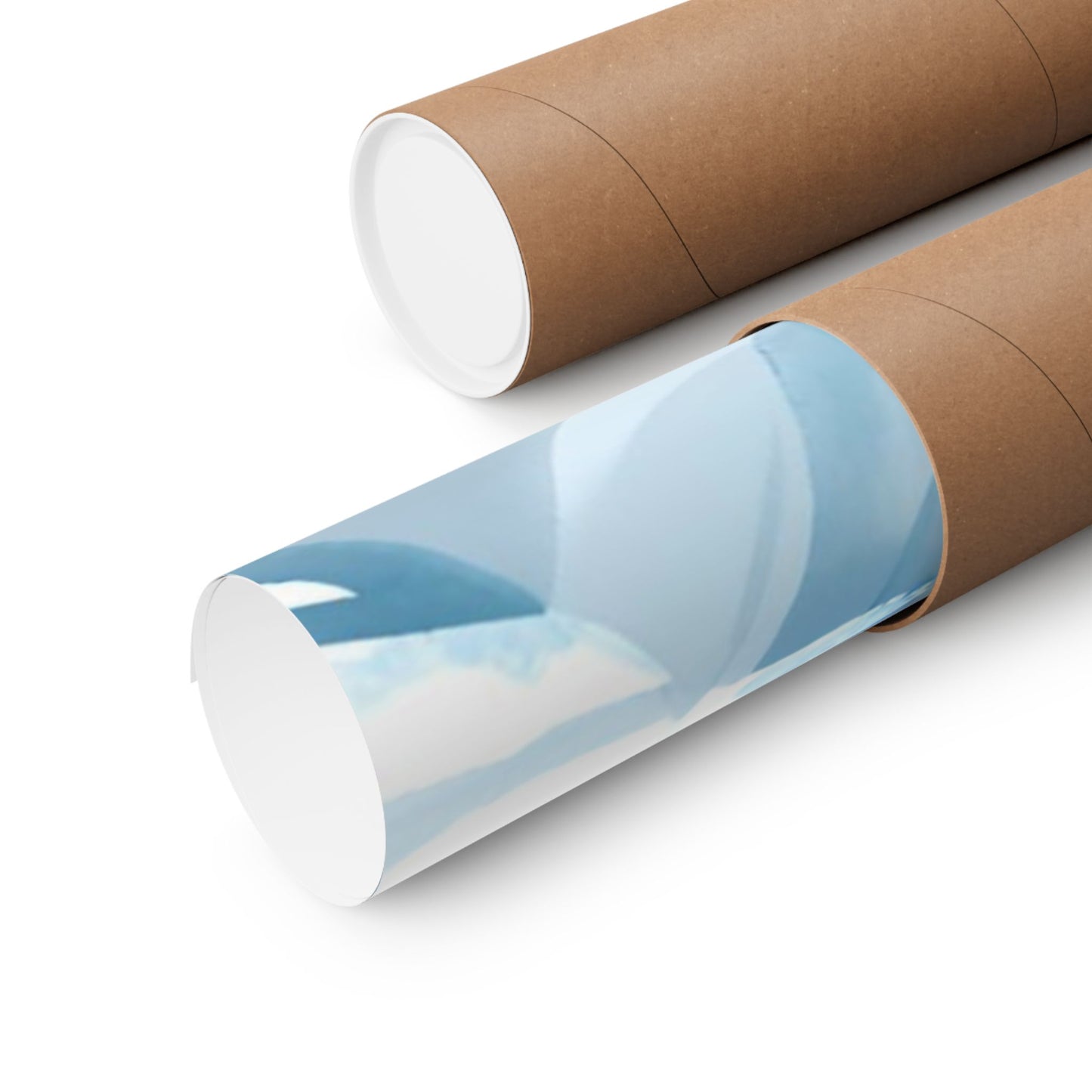 Arctic Ice Science Lab Poster