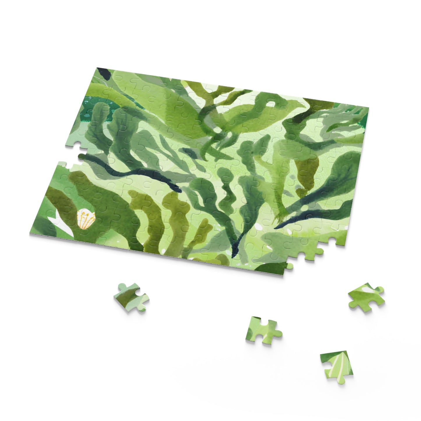 The Algae Adventure | Book Puzzle
