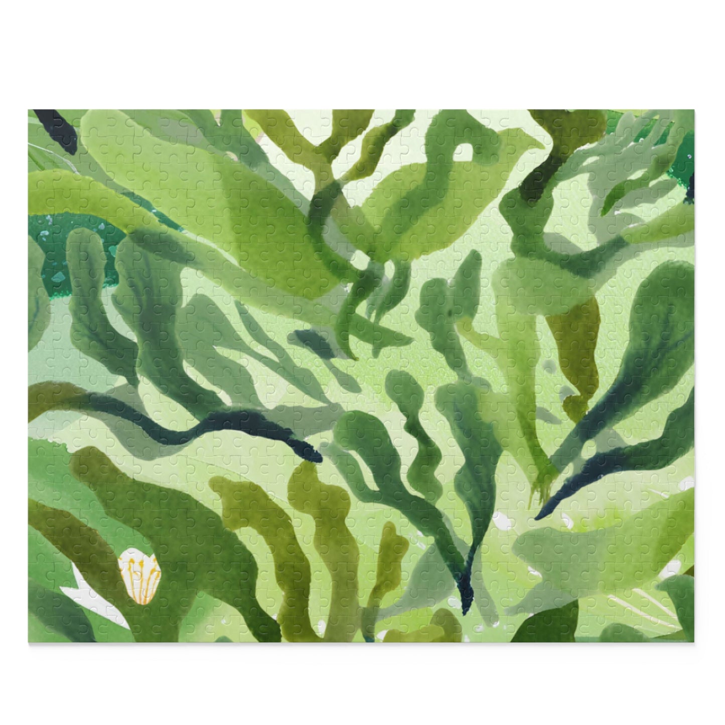 The Algae Adventure | Book Puzzle