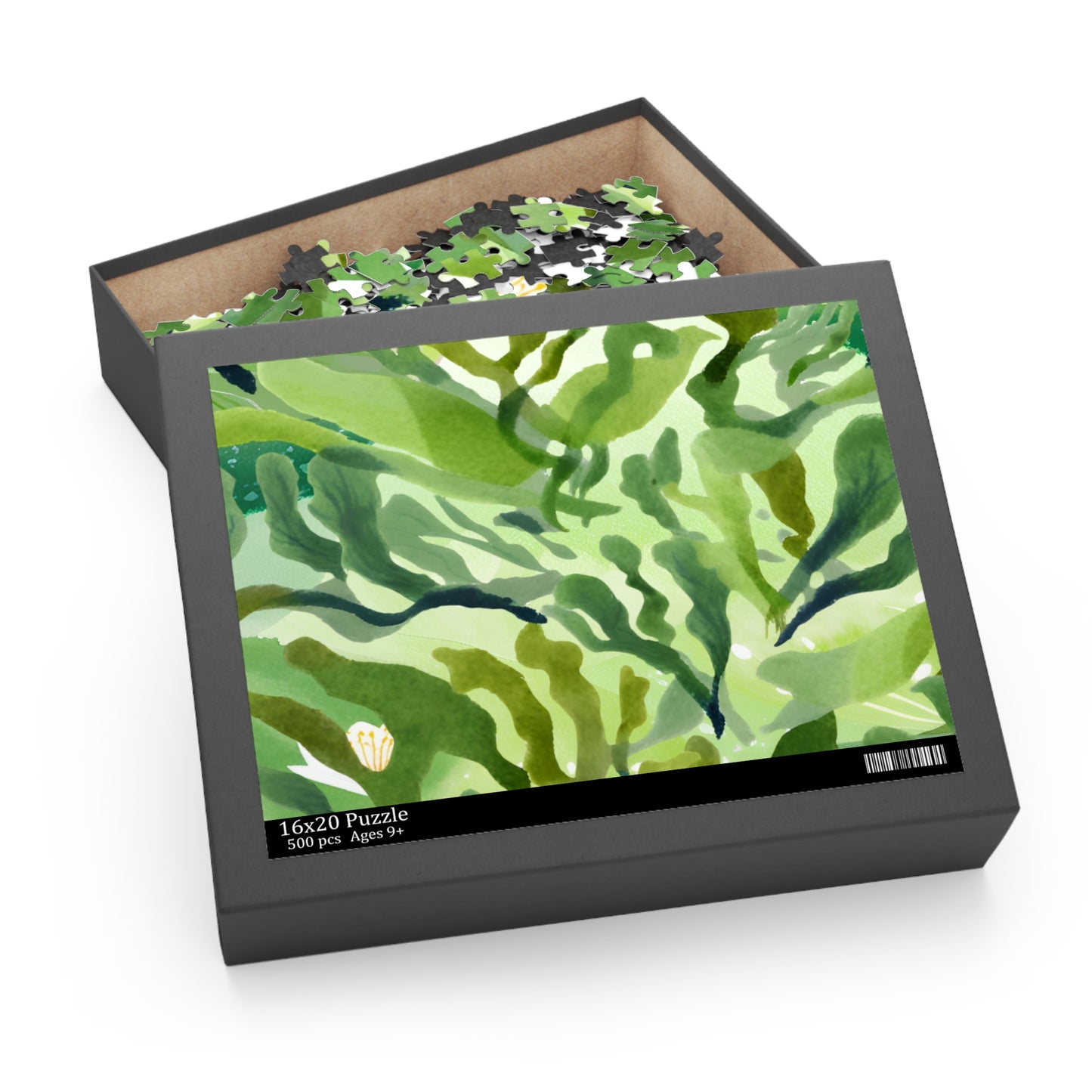 The Algae Adventure | Book Puzzle