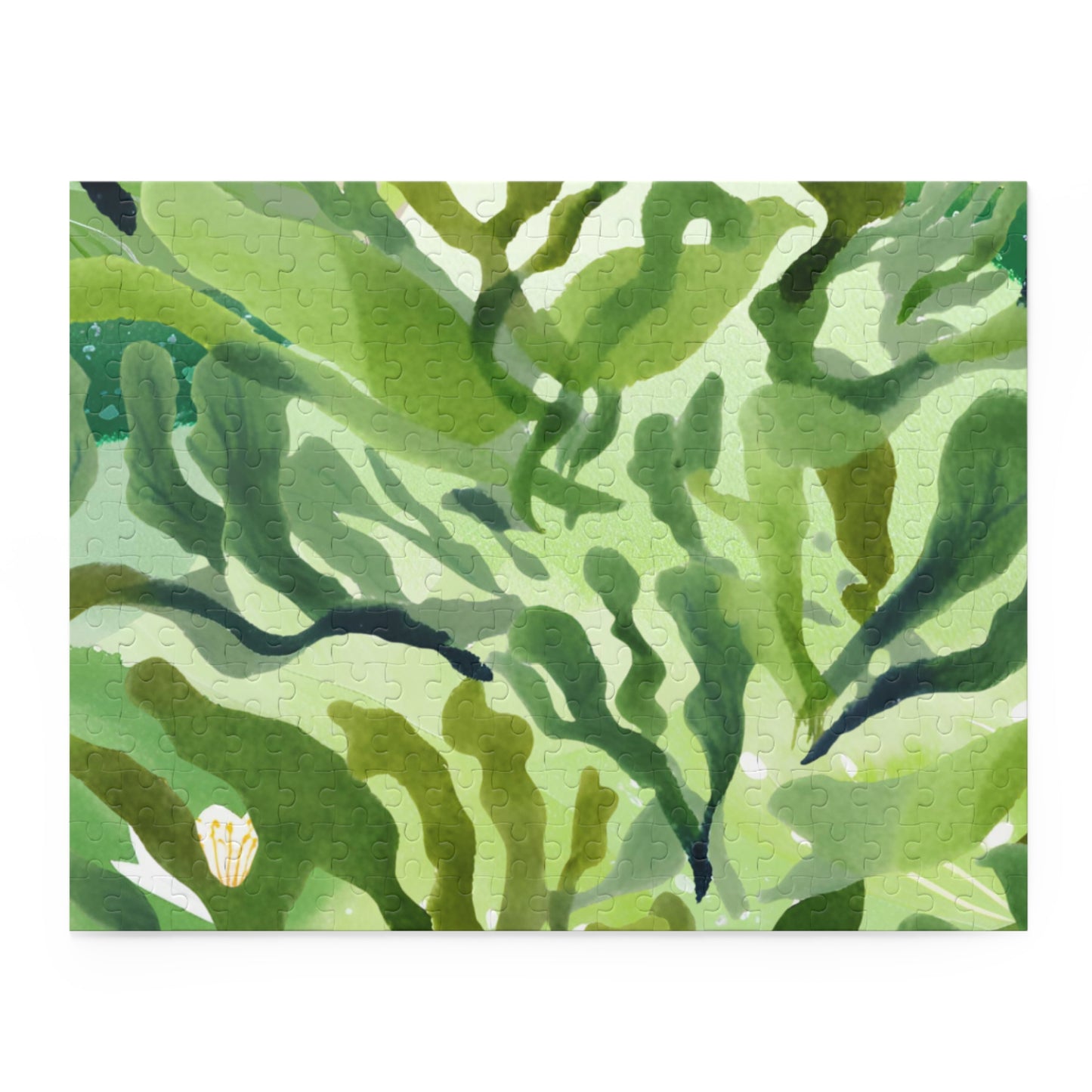 The Algae Adventure | Book Puzzle