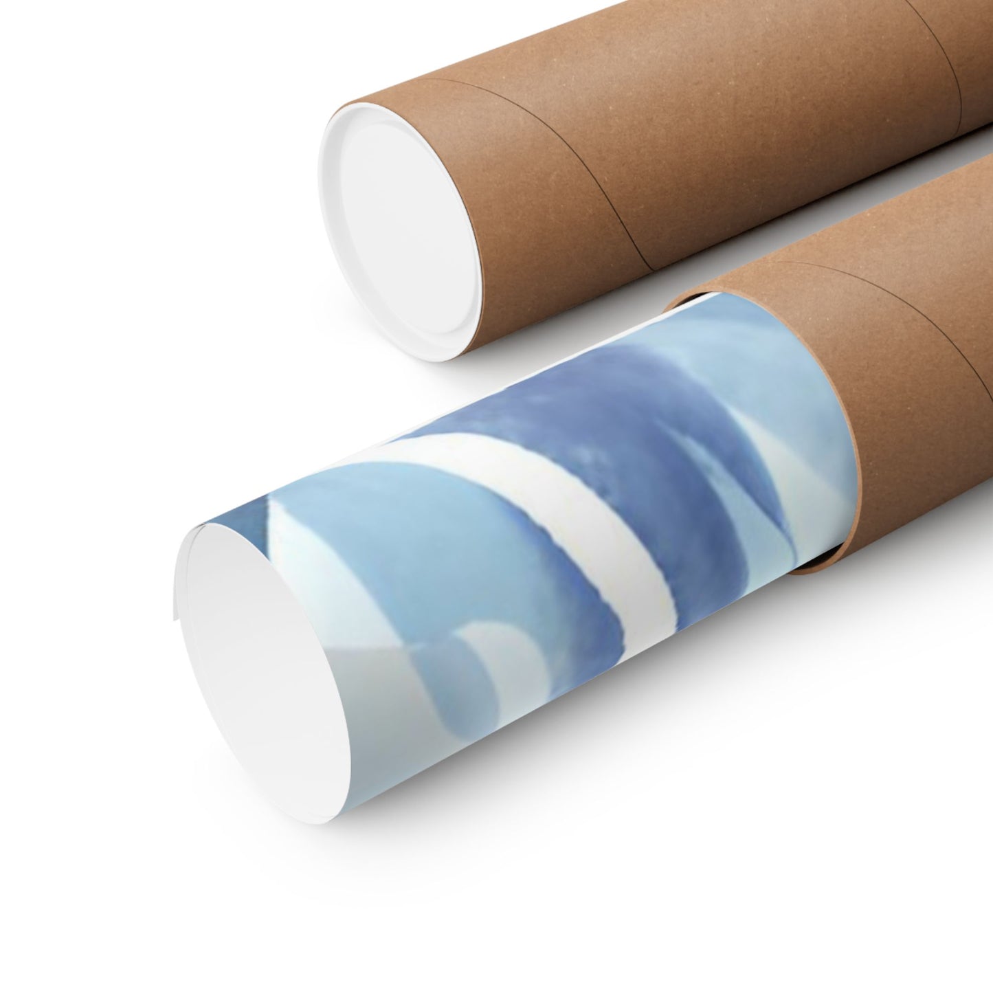 Arctic Ice Science Lab Poster