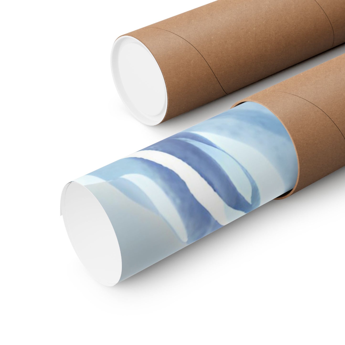 Arctic Ice Science Lab Poster