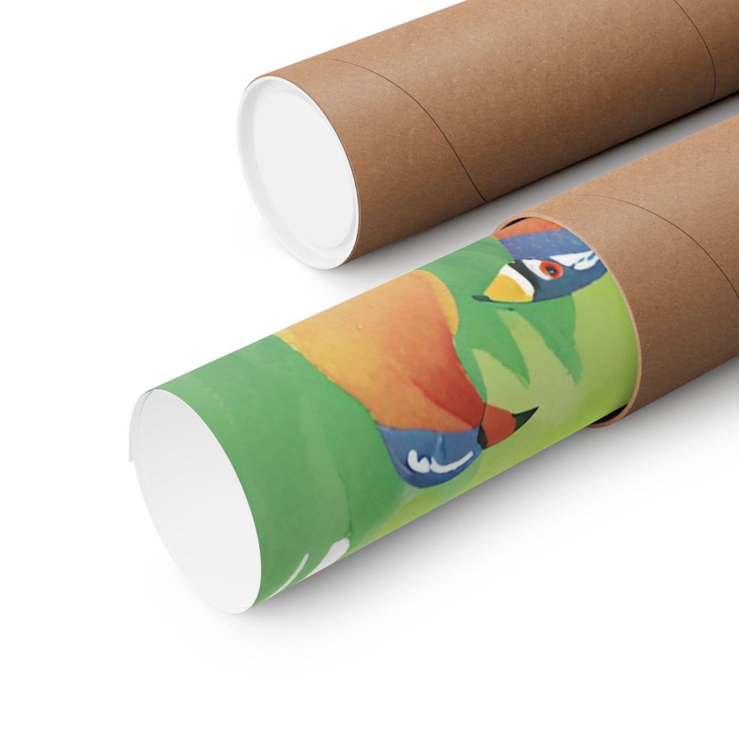 Rainforest Posters