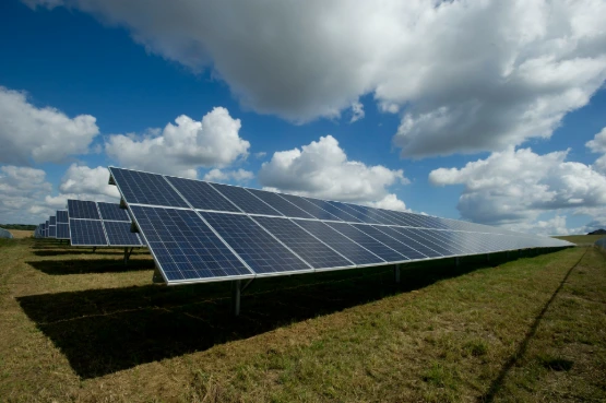 Strategic Compliance: DfE Sustainability Mandate