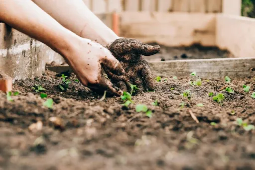 Tactile Scaffolding (Soil Science) CPD